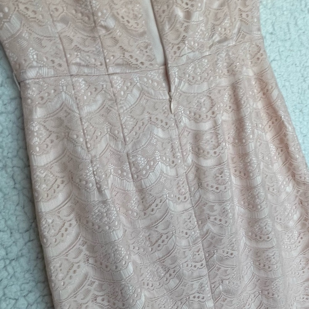 ANTONIO MELANI Blush Lace Sheath Dress - Picture 11 of 16